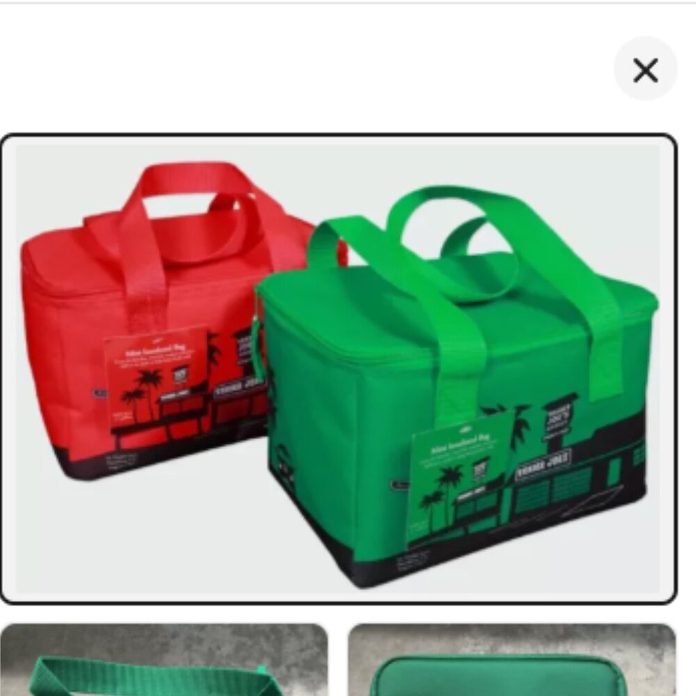 Trader Joe's Mini Ice Cooler